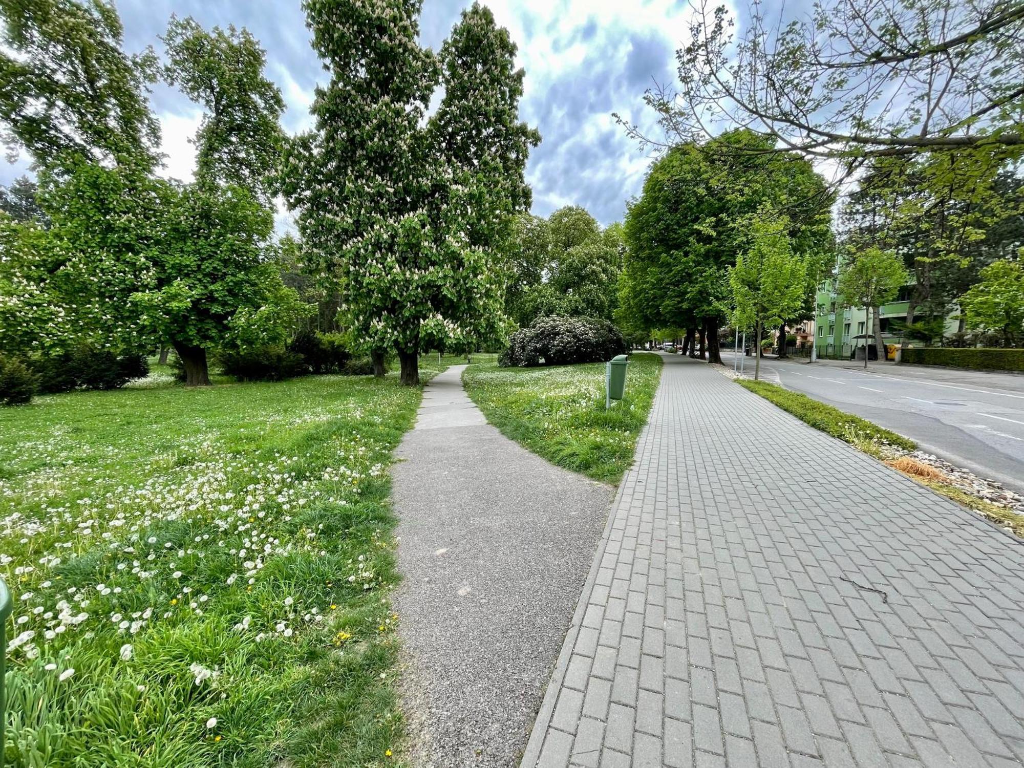 Apartment Park, 24h Checkin & Centre W Free Parking Piest'any